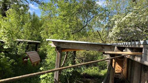 alte Bausubstanz Ställe, Wildwuchs, alter Baumbestand - Grundstück in Hohenmölsen zum Kaufen