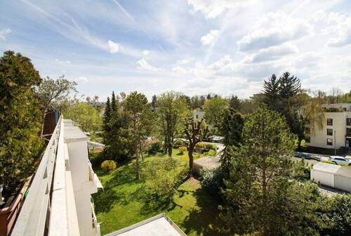 Blick von Terrasse - 