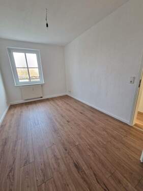 Zimmer3 - 
