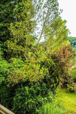 Blick vom Balkon Süd-Ost - 