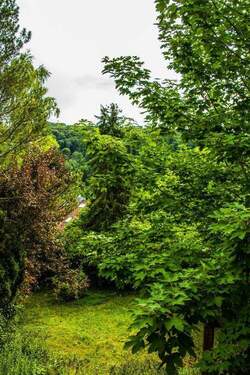 Blick vom Balkon Süd - 