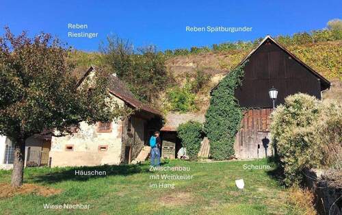 Kleines Weingut am Kaiserstuhl - Kleines Weingut Vogtsburg-Bickensohl-Breisach + Wohnhaus + Scheune + Rebterrassen + Weinkeller im Löshang + Sanierungsplan für 1-2 Käufer