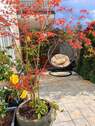 Bild 10 - 