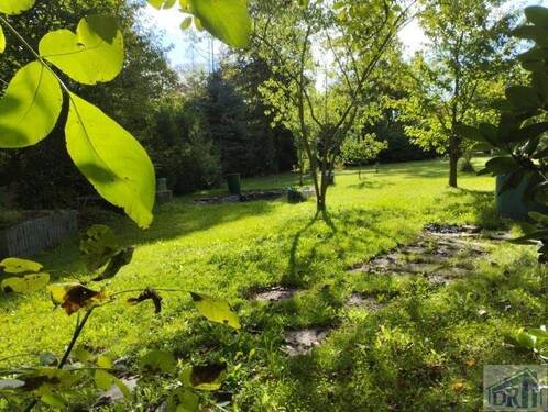 Garten - 6 Zimmer Einfamilienhaus zum Kaufen in Oderwitz