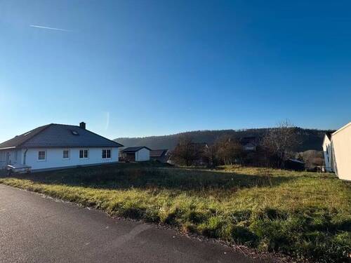 Grundstück - 6 Zimmer Einfamilienhaus in Wiltingen