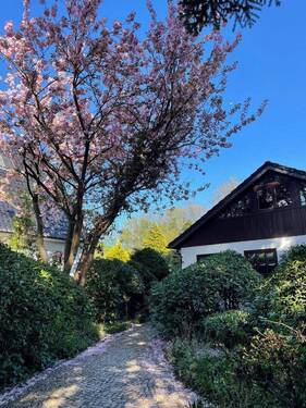 Bild 3 - 5 Zimmer Einfamilienhaus in Hamburg