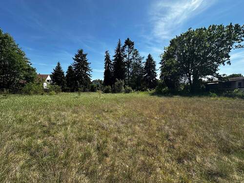 Rückseite des Grundstücks - Grundstück zum Kaufen in Heidesee OT Wolzig