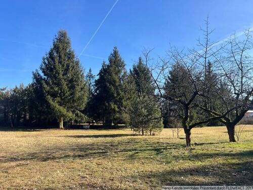 Bild 2 - Grundstück zum Kaufen in Elsterwerda