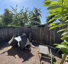 Bild 12 - 