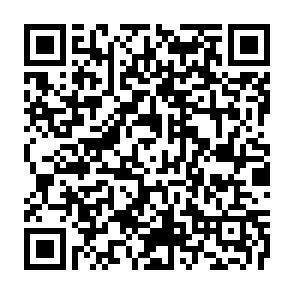 QR-Code - Halle in Kamenz