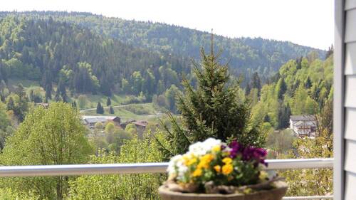 Schöner Ausblick auf den Schwarzwald - 