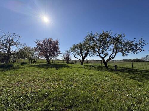Garten - 