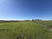 Gartenaussicht - 