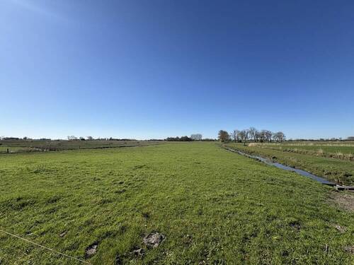 Gartenaussicht - 