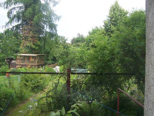 Gartenausblick - 