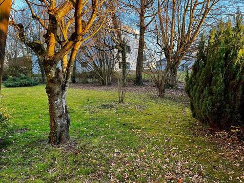 Garten des Hauses - 