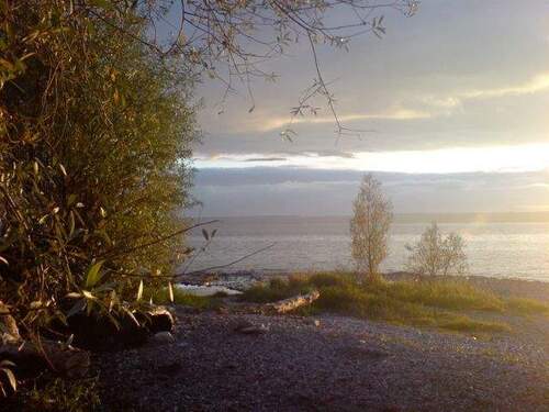 Genießen Sie die Nähe zum See - 