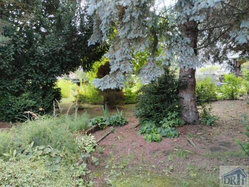 hinterer Gartenteil - 6 Zimmer Einfamilienhaus in Zittau