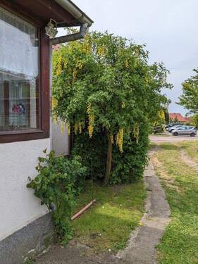 Weg von der Auffahrt - 