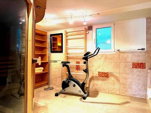Sauna mit Tauchbecken und Doppeldusche - 
