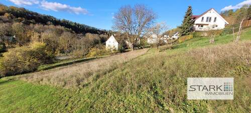 Oberseite, Blick ins Tal.jpg - Sonniges Grundstück in ruhiger Ortslage von Grünsfeld-Hausen!