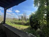 Blick - 
