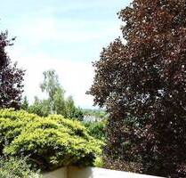 Repräsentative Terrassenwohnung - stilvoll, modern, außergewöhnlich und PROVISIONSFREI - Dreieich Dreieichenhain