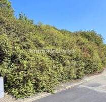 Attraktive Baugrundstücke in Röttingen