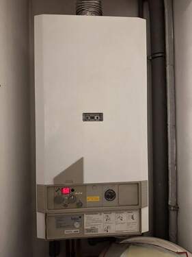 Derzeit noch in der Wohnung: Gas-Therme - 