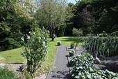 Weg zum Hauseingang - 