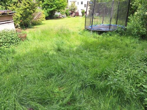 Grundstück.1.jpeg - 