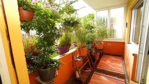 10 Loggia - 