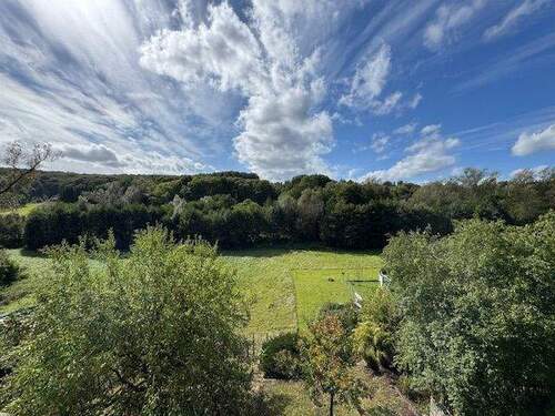  Mit Blick in die Natur - 