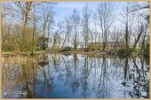 Eigener Teich - 