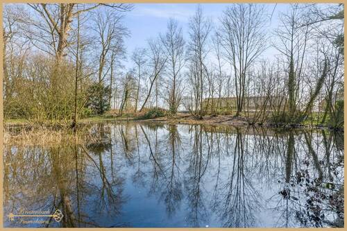 Eigener Teich - 