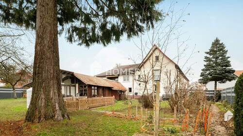 Garten 4 - Gepflegtes Bauernhaus mit Charme & Potenzial: 2200 m² Grundstück, Scheune & Wohnmöglichkeiten