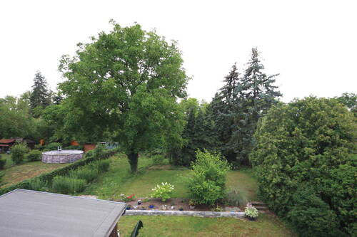 Ausblick - 