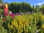 Garten - 