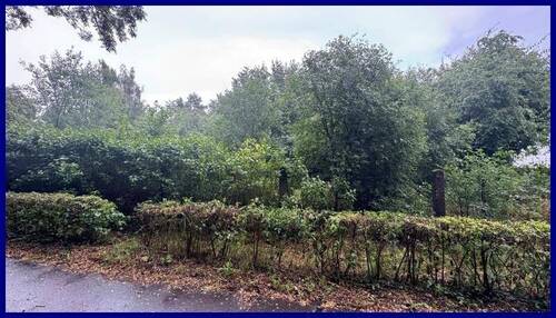 Straßenansicht - Großes Grundstück in ruhiger Lage - Teilung möglich