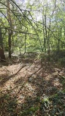 Grundstück - Waldfläche - Grundstück in Kremmen zum Kaufen