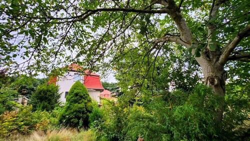 3 - Mehrfamilienhaus, Wohnhaus mit 121,80 m² in Meineweh zum Kaufen