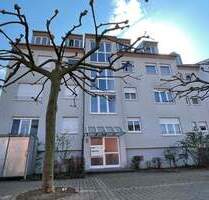 3 Zimmer DG-Wohnung mit Einbauküche, Dachterrasse ab 01.03. 01.04. oder 01.05.2026 frei! - Groß-Umstadt