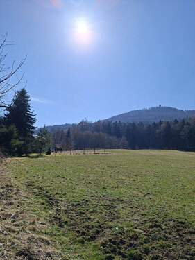Blick auf die Lausche - Wohnen wo andere abschalten-Haus mit Blick auf die Lausche in traumhafter Naturlage