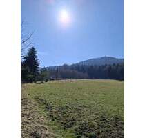 Wohnen wo andere abschalten-Haus mit Blick auf die Lausche in traumhafter Naturlage - Waltersdorf