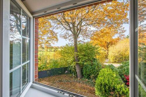 Blick in den Garten - 