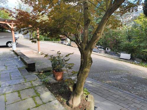 A-Stellplätze Rampe - 