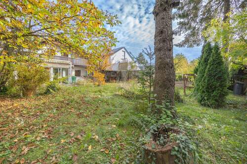 Eingewachsener Garten - 