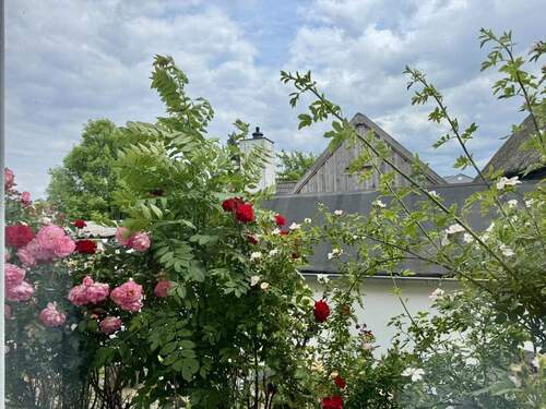 Ausblick - Einfamilienhaus mit 123,20 m&sup2; in Nordenham zum Kaufen