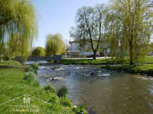 Die Sulz - 