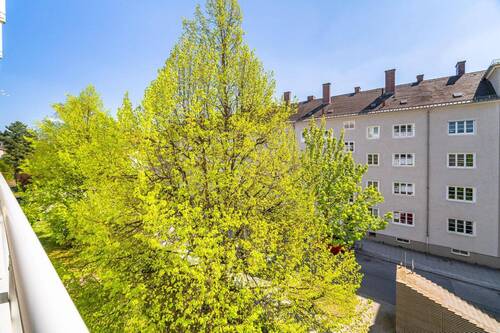 Ausblick vom Balkon - 